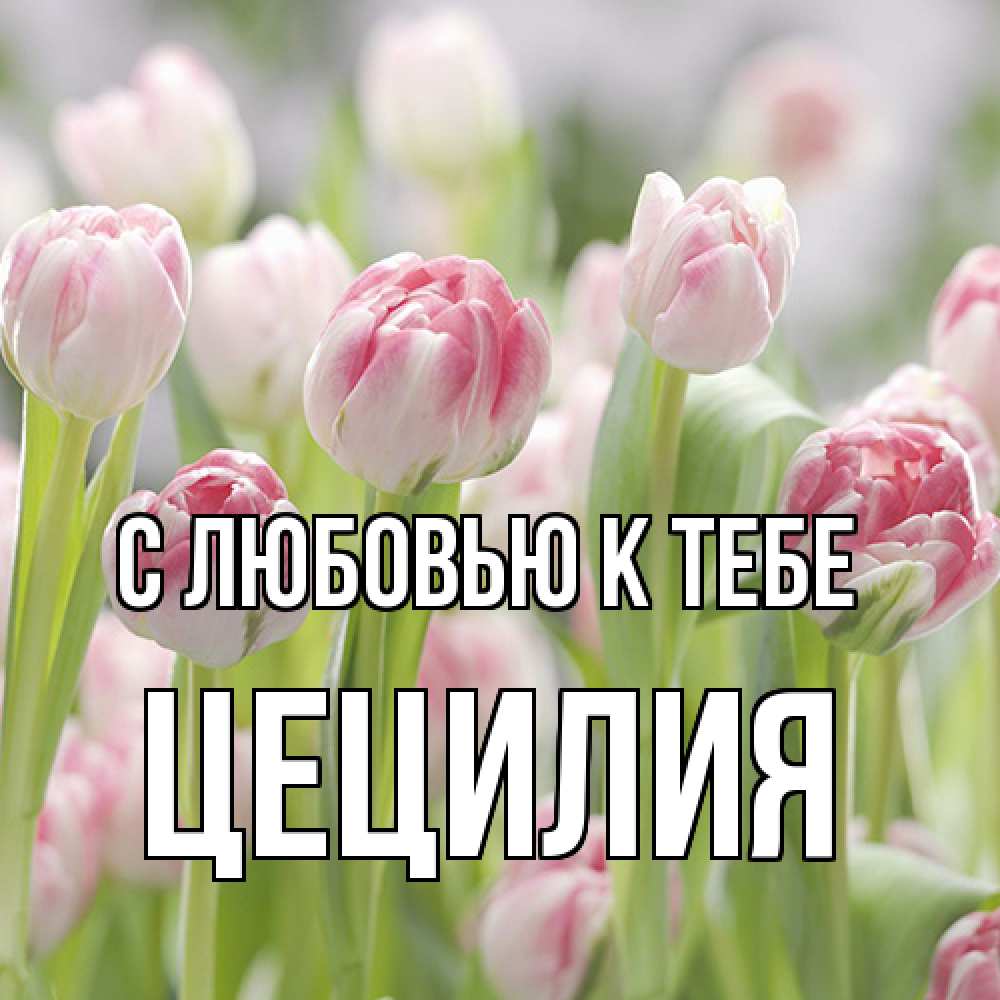 Открытка  с именем. Цецилия, С любовью к тебе  