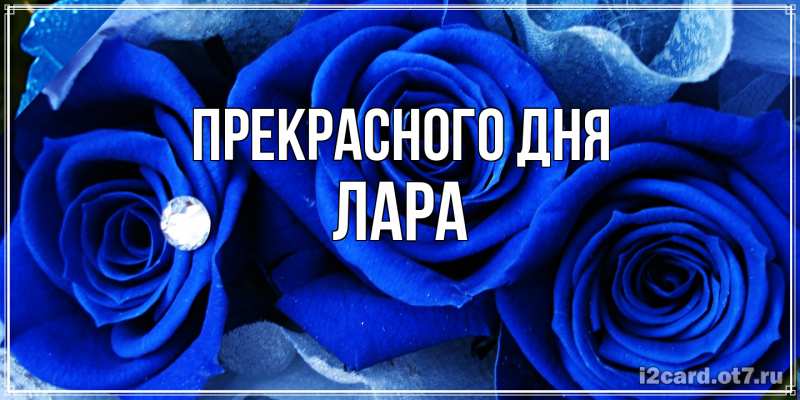 Картинка Прекрасного дня, Лара