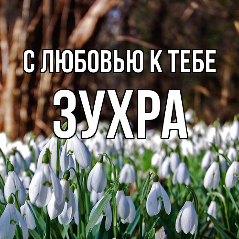 Открытка  с именем. Зухра, С любовью к тебе  