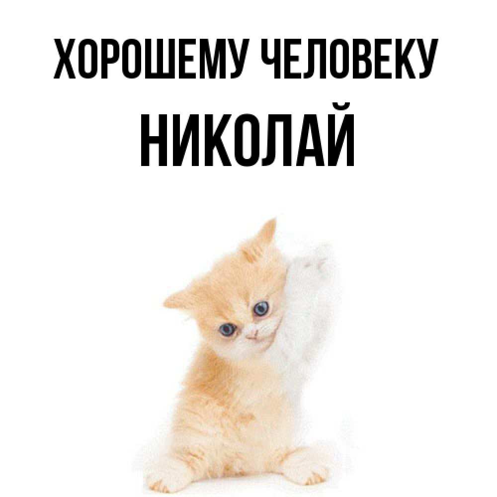 Открытка  с именем. Николай, Хорошему человеку  