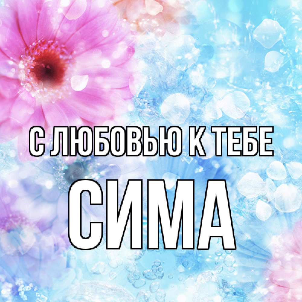 Открытка  с именем. Сима, С любовью к тебе  