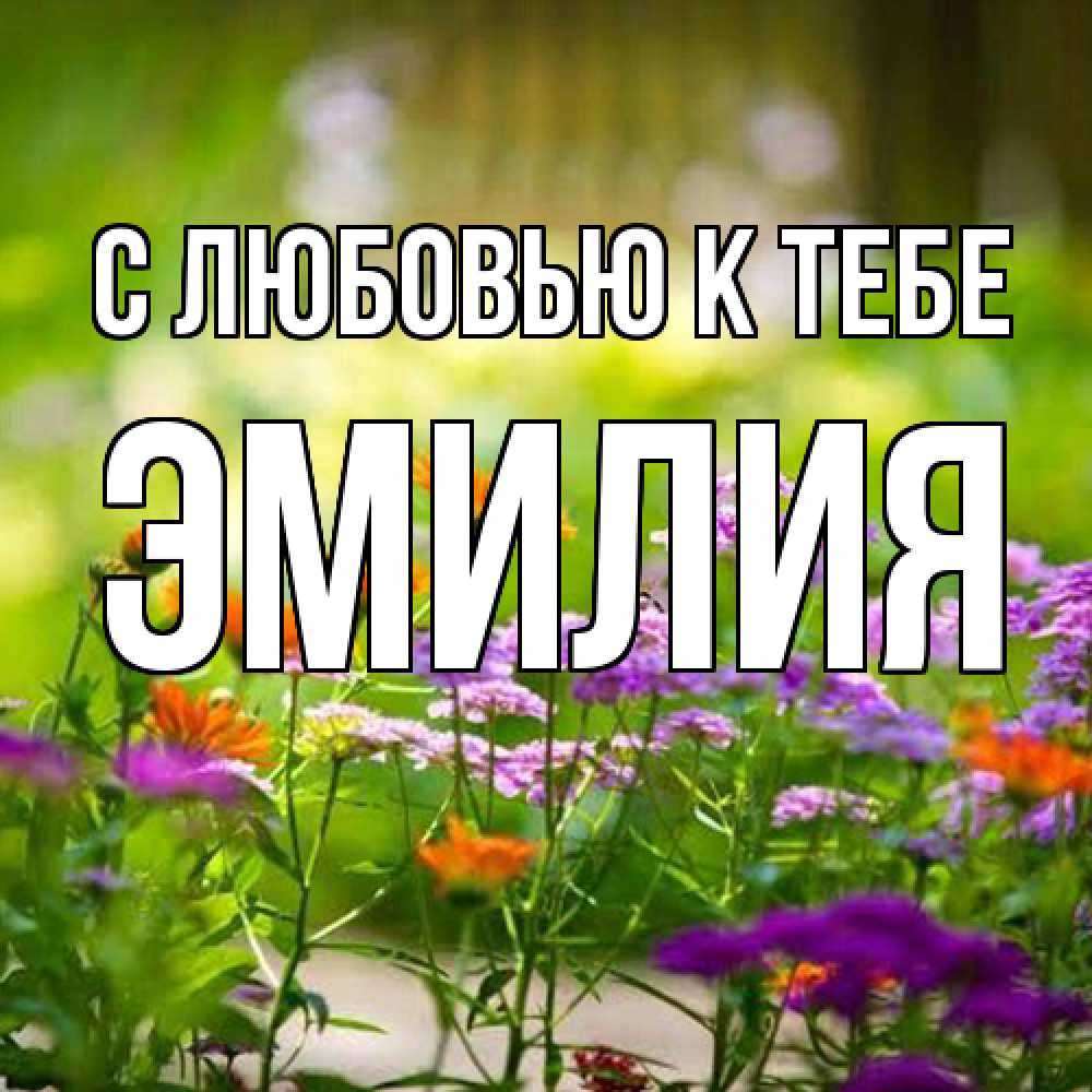 Открытка  с именем. Эмилия, С любовью к тебе  