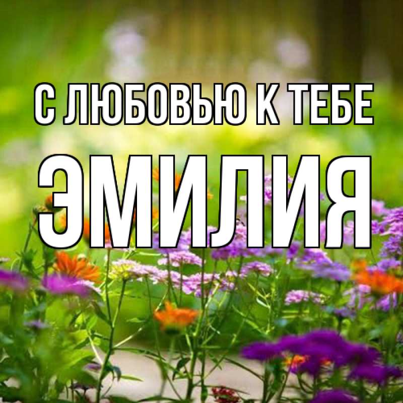 Картинка С любовью к тебе, Эмилия