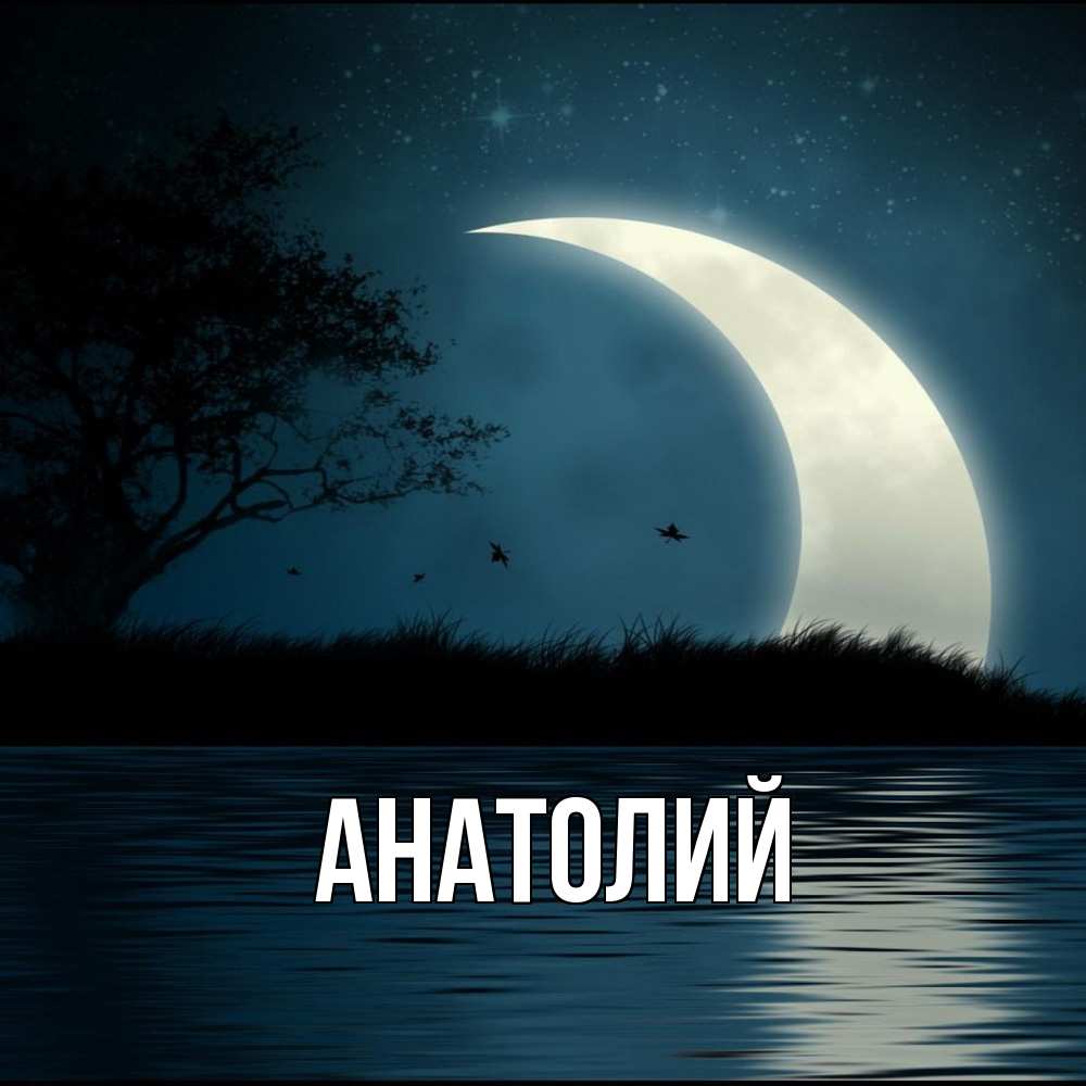 Открытка  с именем. Анатолий, Главная  