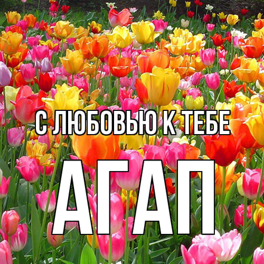 Открытка  с именем. Агап, С любовью к тебе  