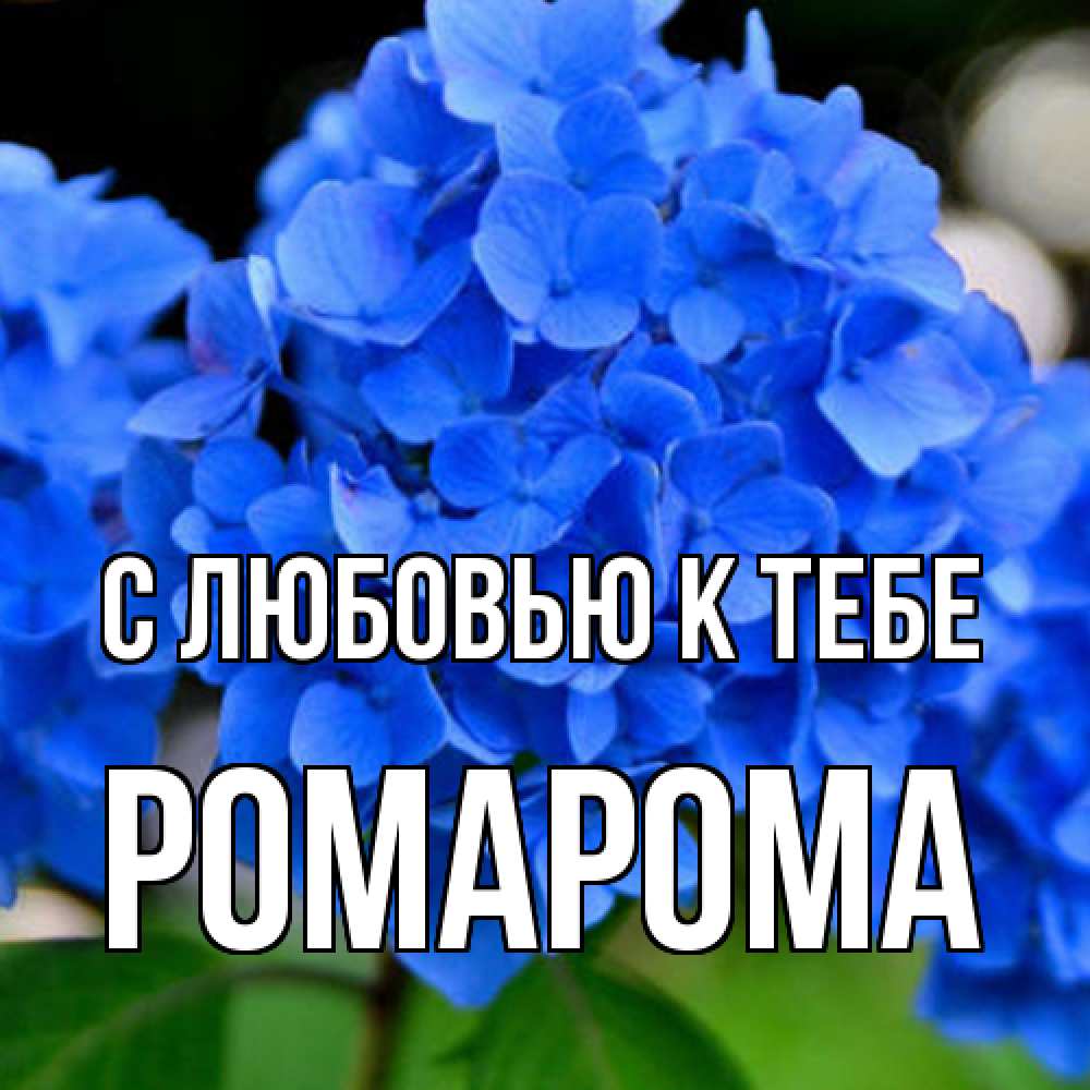 Открытка  с именем. РомаРома, С любовью к тебе  
