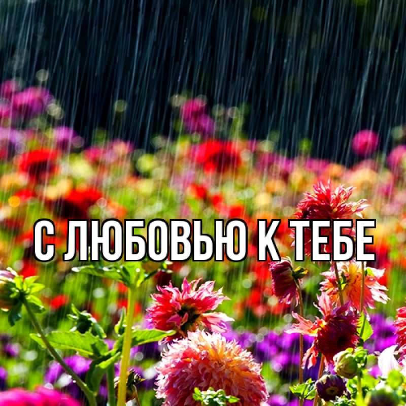 Картинка С любовью к тебе, 