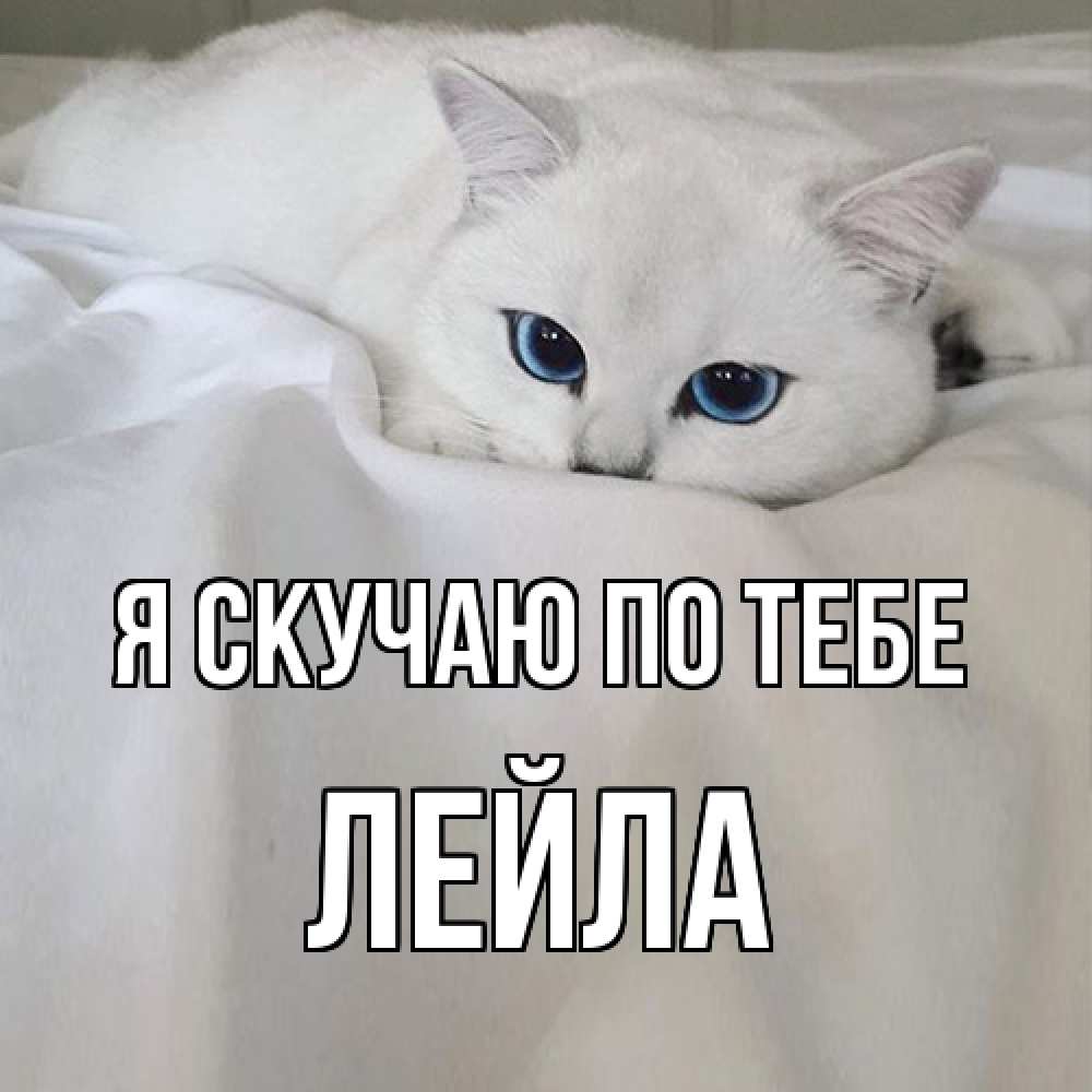 Открытка  с именем. Лейла, Я скучаю по тебе  