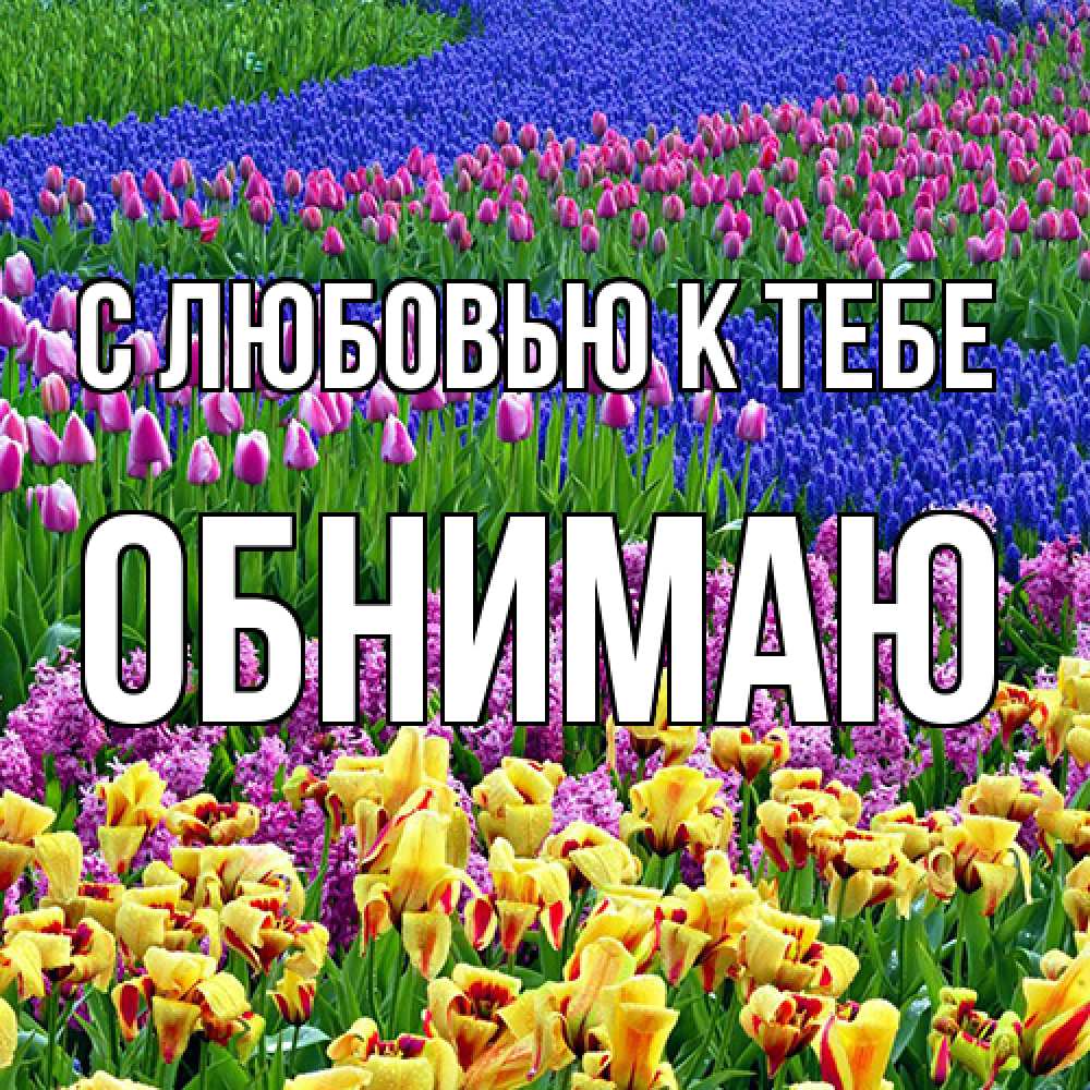 Открытка  с именем. Обнимаю, С любовью к тебе  