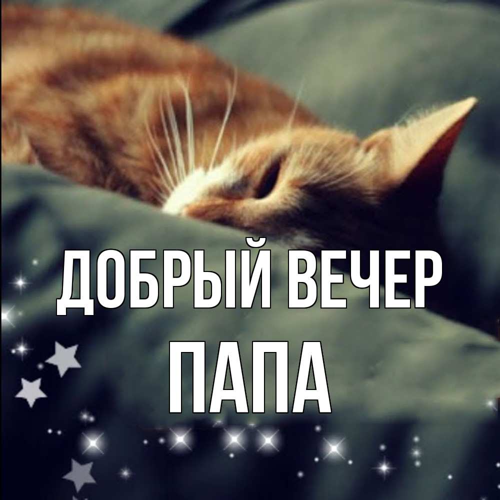 Открытка  с именем. Папа, Добрый вечер  