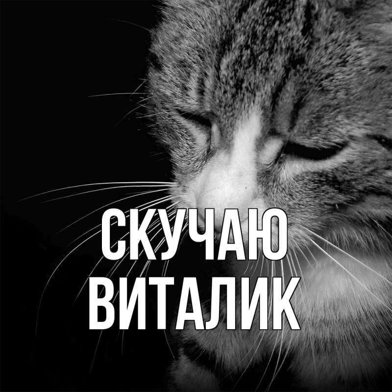 Картинка Скучаю, Виталик