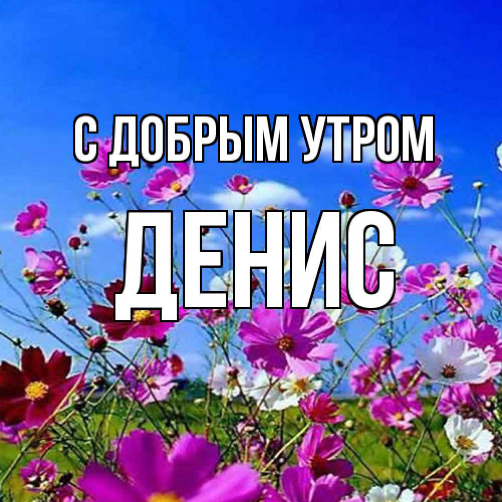 Открытка  с именем. Денис, С добрым утром  