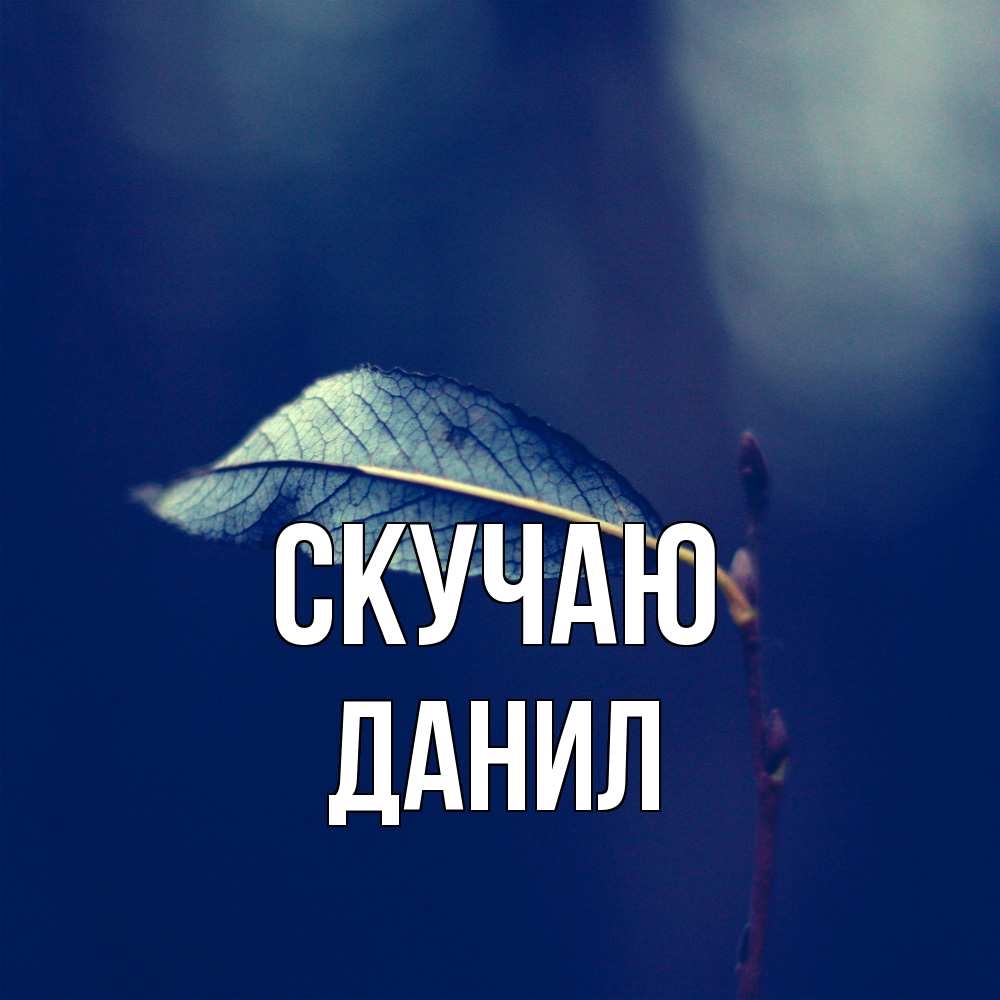 Открытка  с именем. Данил, Скучаю  
