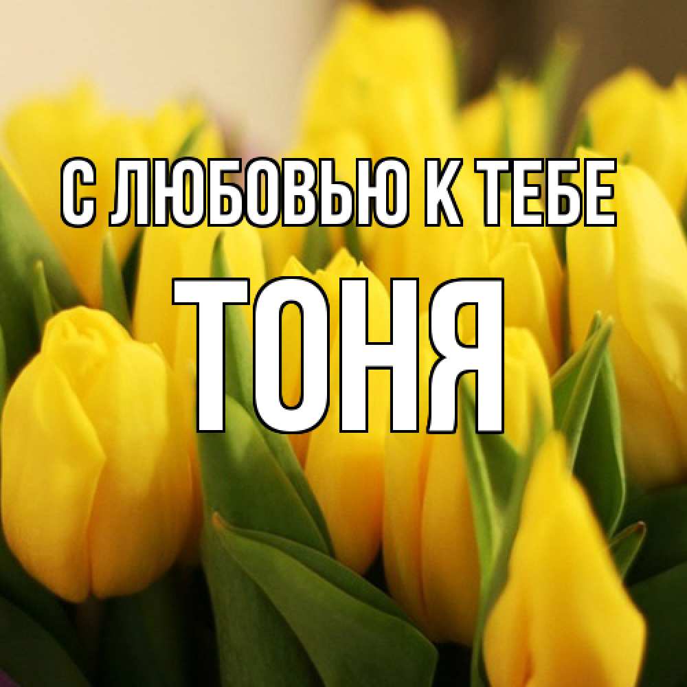 Открытка  с именем. Тоня, С любовью к тебе  