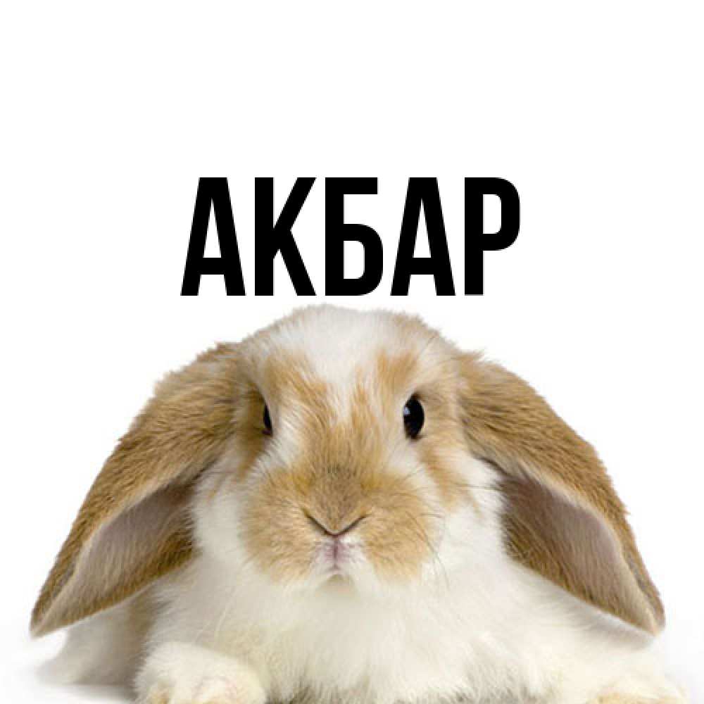Открытка  с именем. Акбар, Главная  