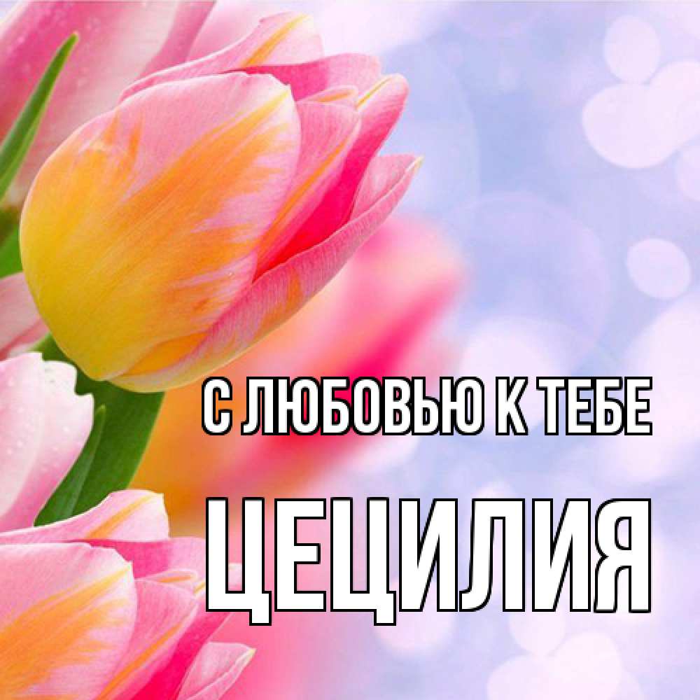 Открытка  с именем. Цецилия, С любовью к тебе  