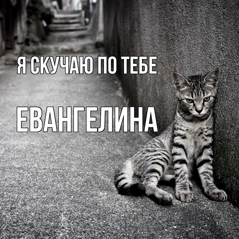 Открытка  с именем. Евангелина, Я скучаю по тебе  