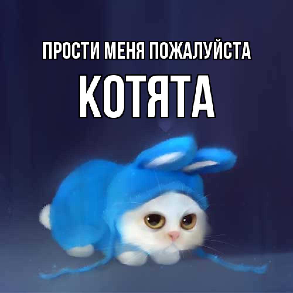Открытка  с именем. Котята, Прости меня пожалуйста  
