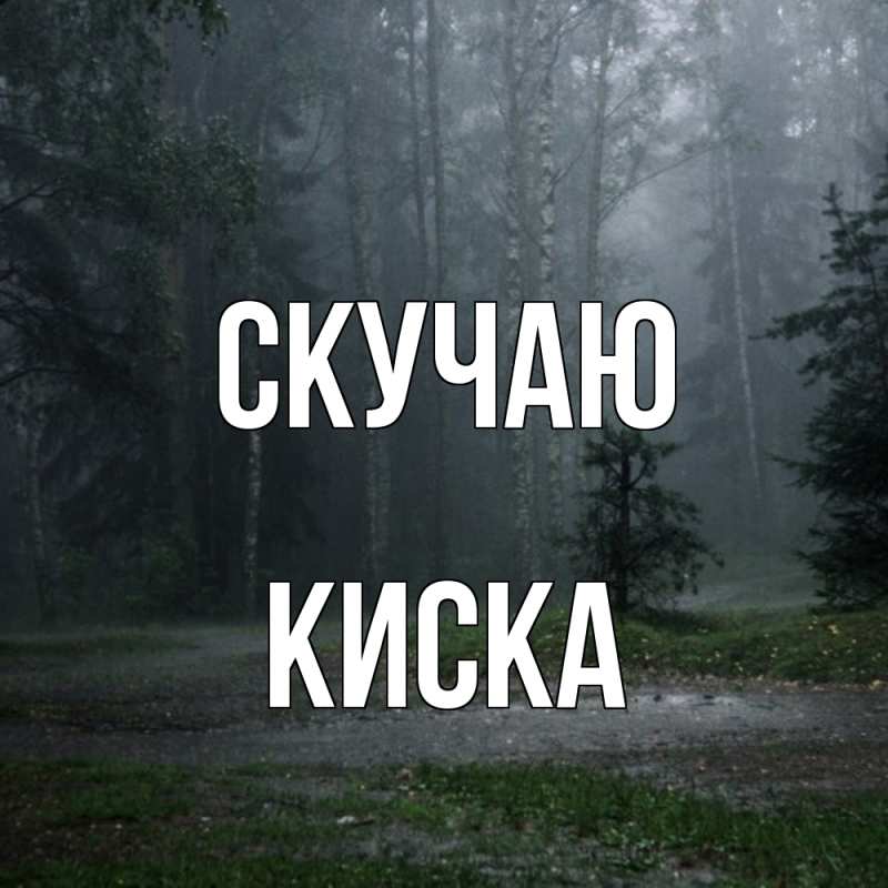 Картинка Скучаю, Киска