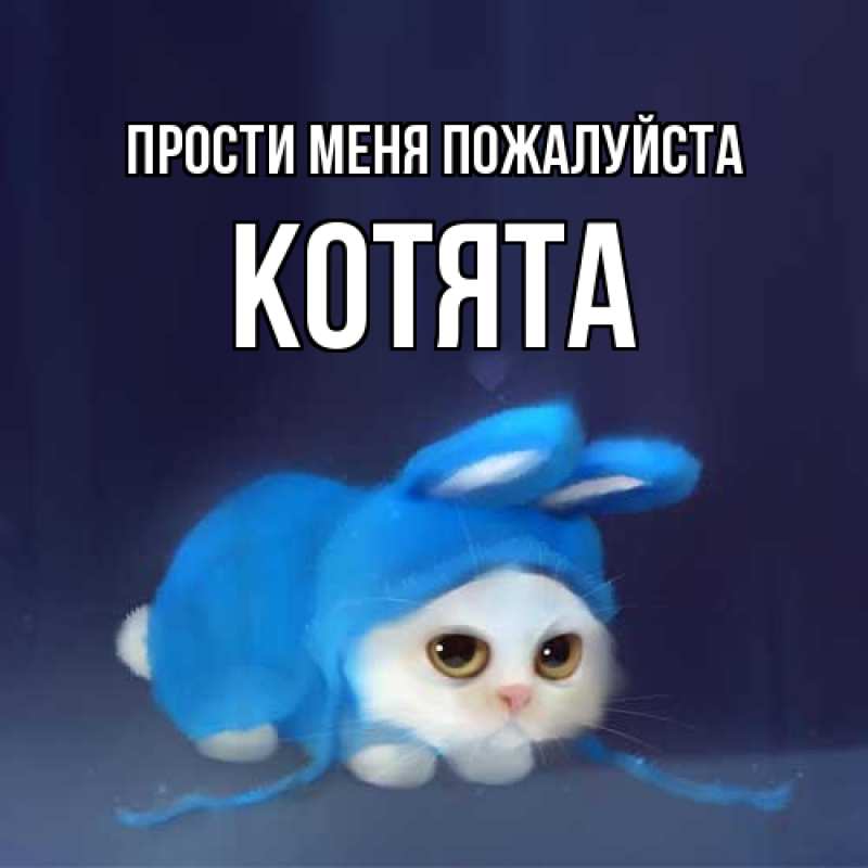 Картинка Прости меня пожалуйста, Котята
