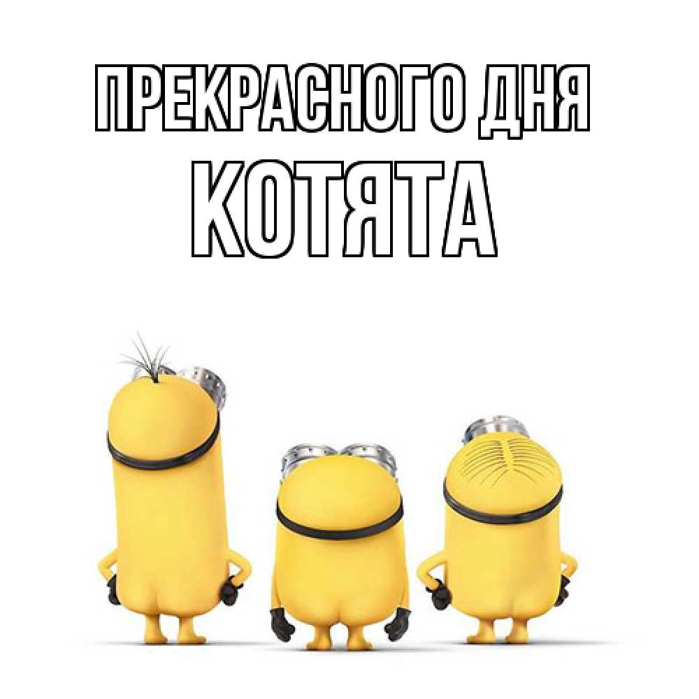 Открытка  с именем. Котята, Прекрасного дня  