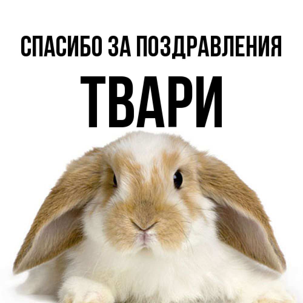 Открытка  с именем. твари, Спасибо за поздравления  
