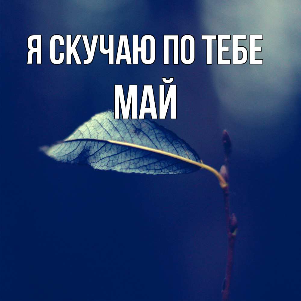 Открытка  с именем. Май, Я скучаю по тебе  