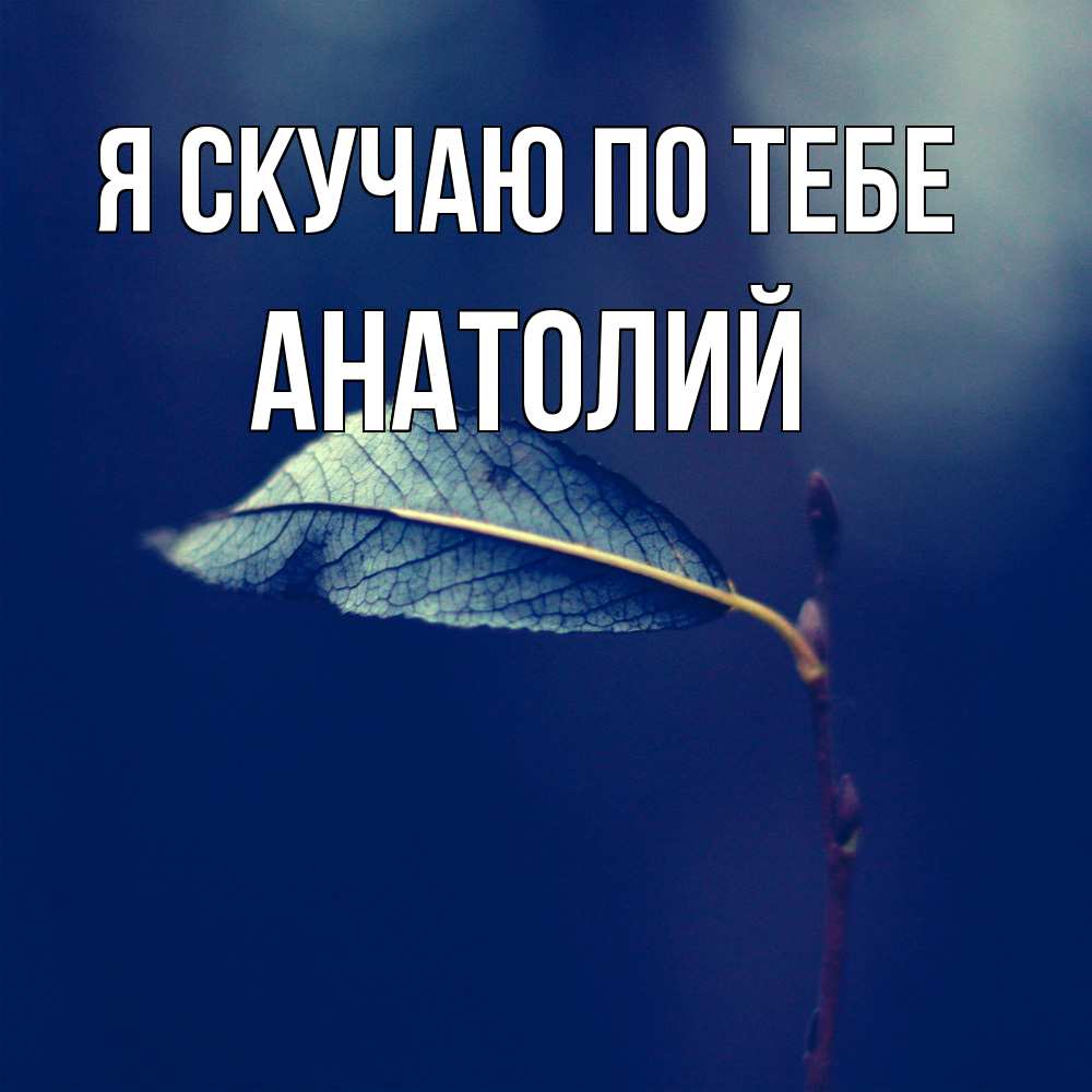 Открытка  с именем. Анатолий, Я скучаю по тебе  