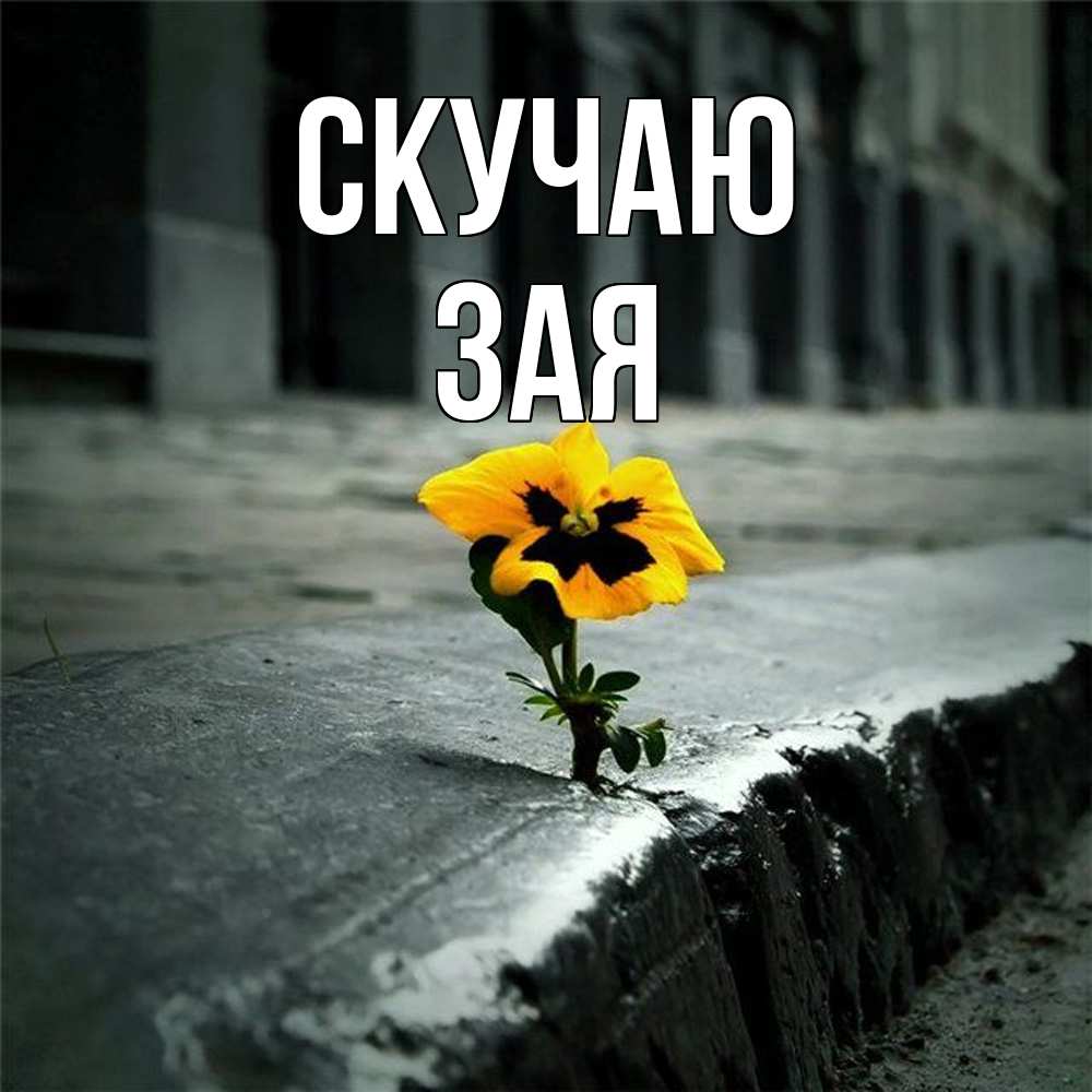 Открытка  с именем. Зая, Скучаю  