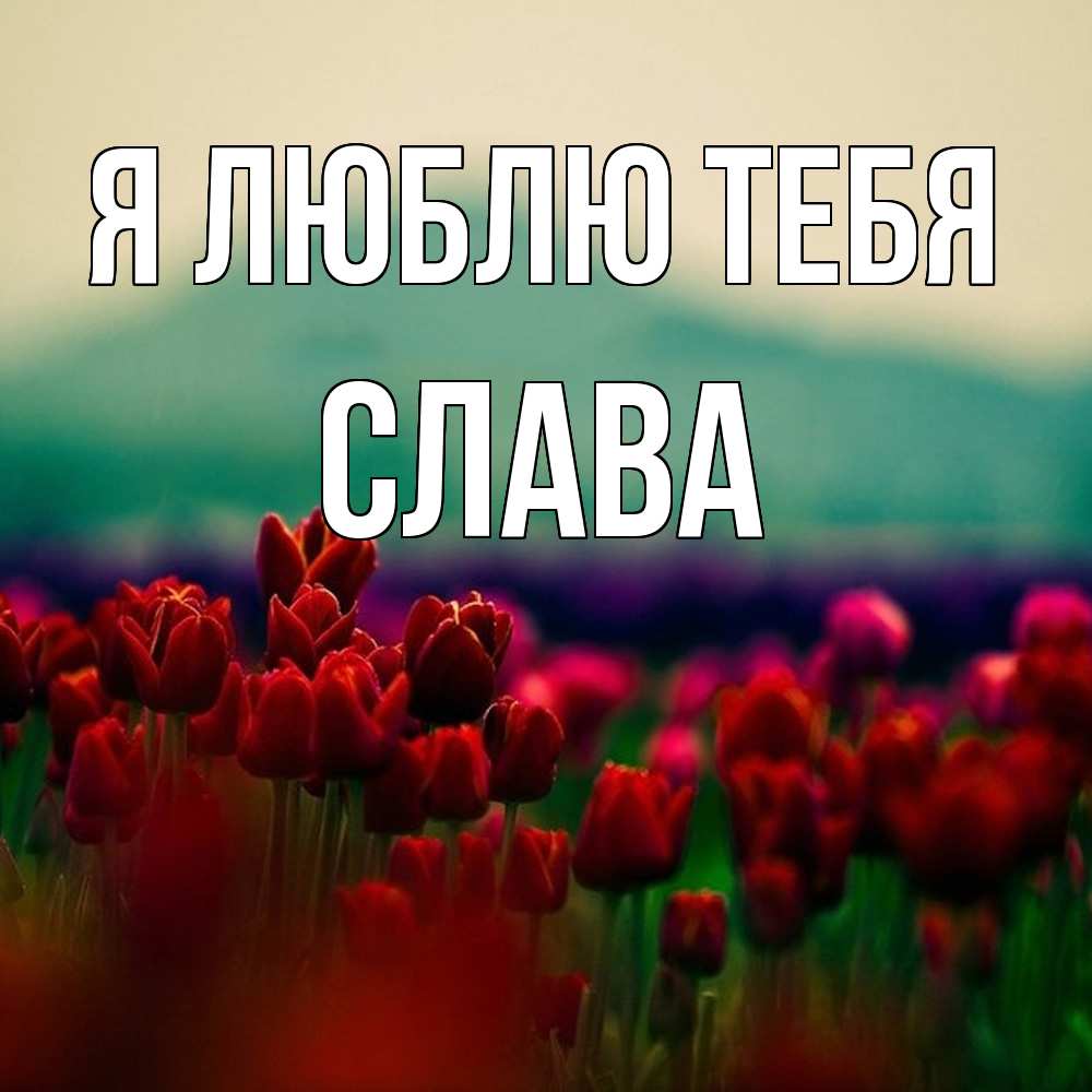 Открытка  с именем. Слава, Я люблю тебя  