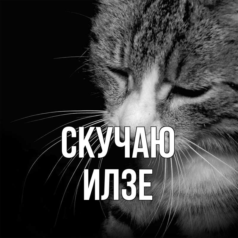 Картинка Скучаю, Илзе