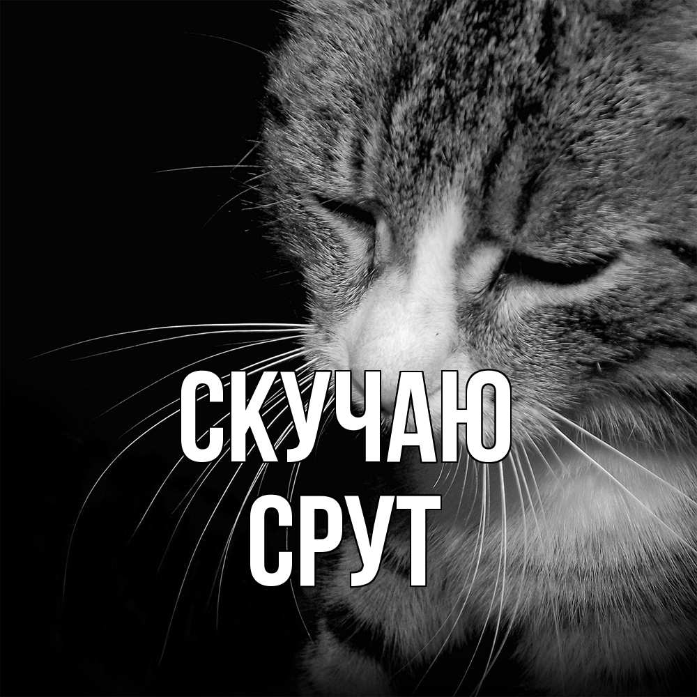 Открытка  с именем. срут, Скучаю  