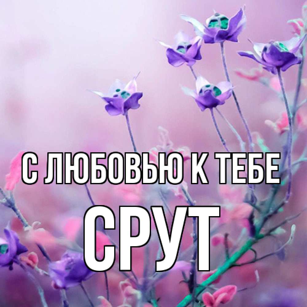 Открытка  с именем. срут, С любовью к тебе  