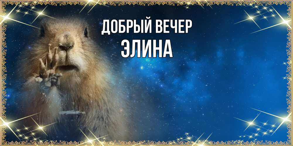 Открытка  с именем. Элина, Добрый вечер  