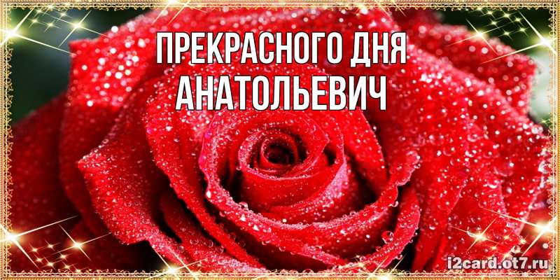 Картинка Прекрасного дня, Анатольевич