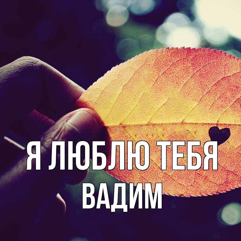 Открытка  с именем. Вадим, Я люблю тебя  