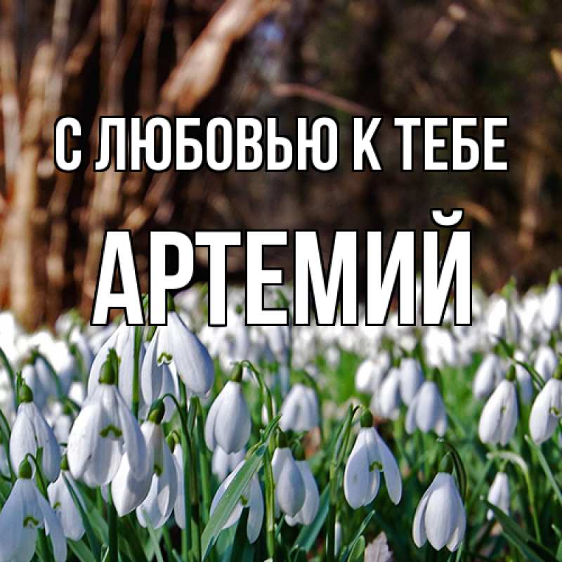 Картинка С любовью к тебе, Артемий