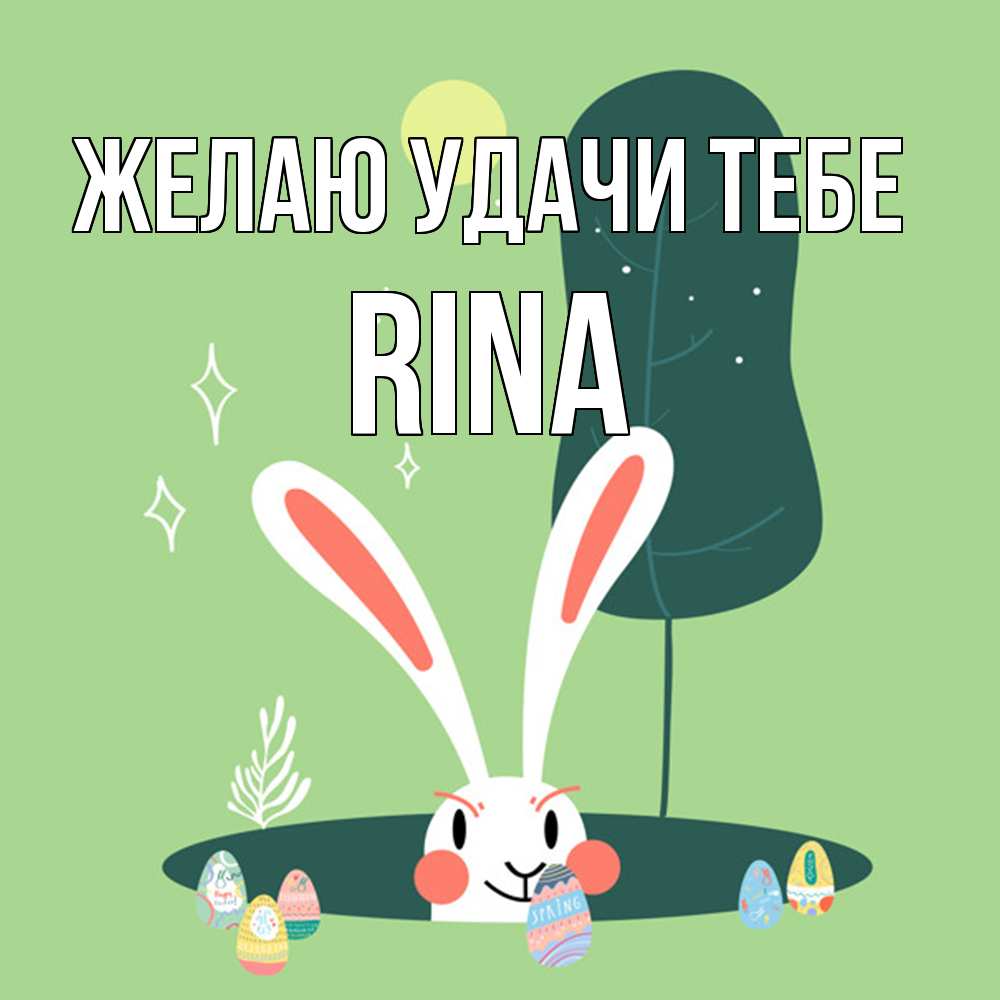 Открытка  с именем. Rina, Желаю удачи тебе  