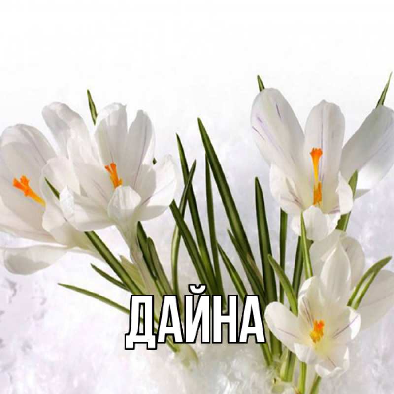 Картинка  с именем , Дайна