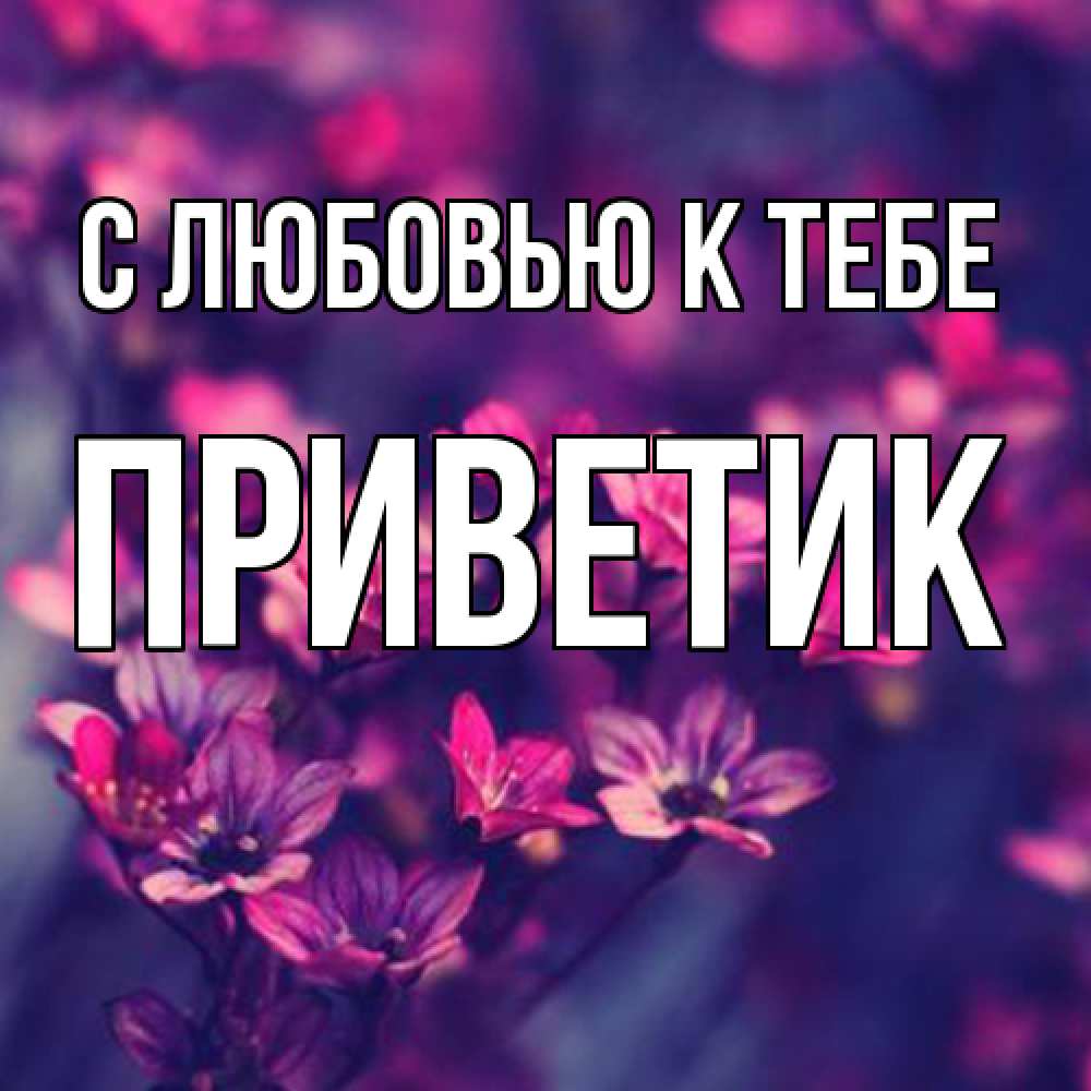 Открытка  с именем. приветик, С любовью к тебе  