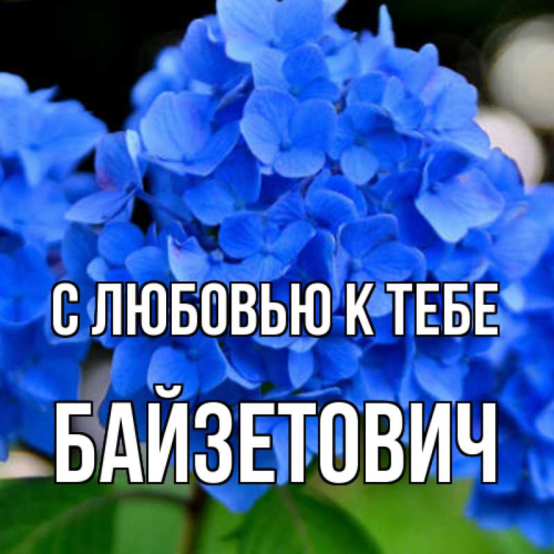 Картинка С любовью к тебе, Байзетович