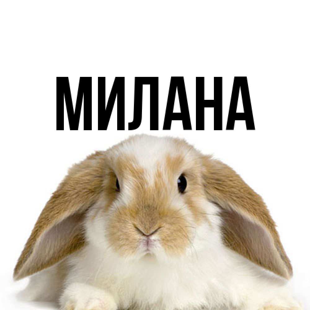 Открытка  с именем. Милана, Главная  