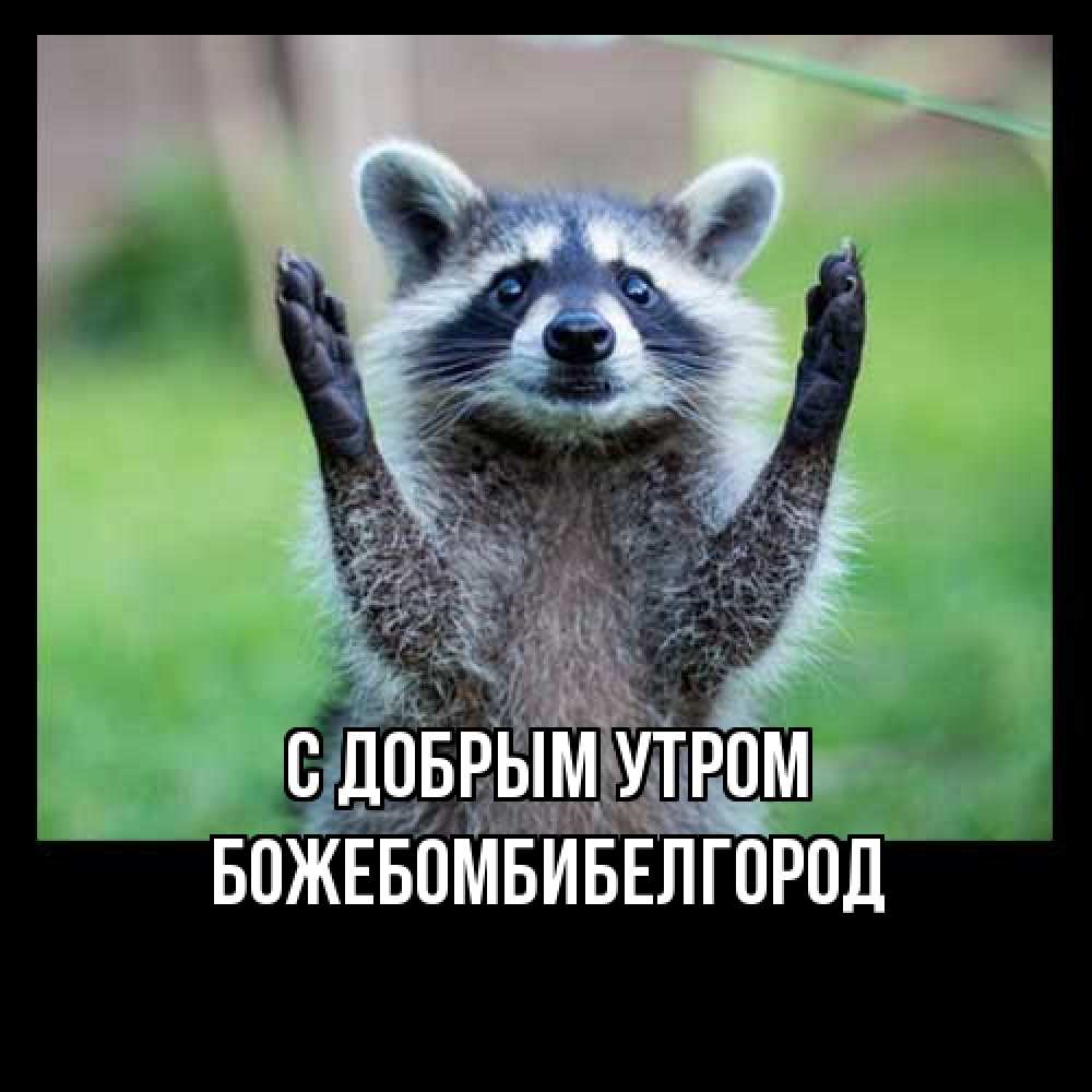 Открытка  с именем. божебомбибелгород, С добрым утром  