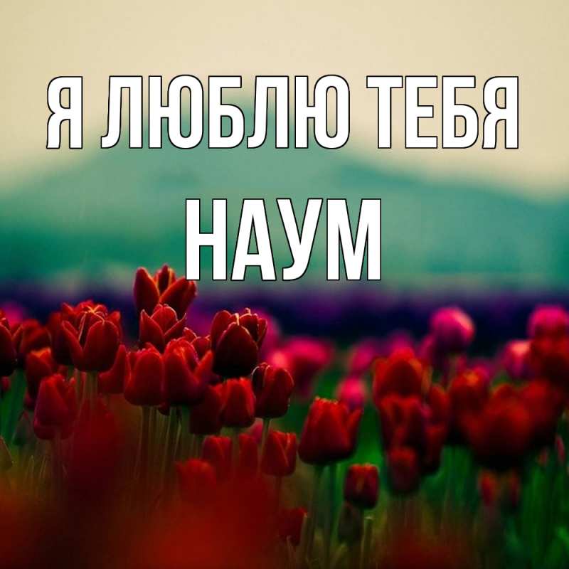 Картинка Я люблю тебя, Наум