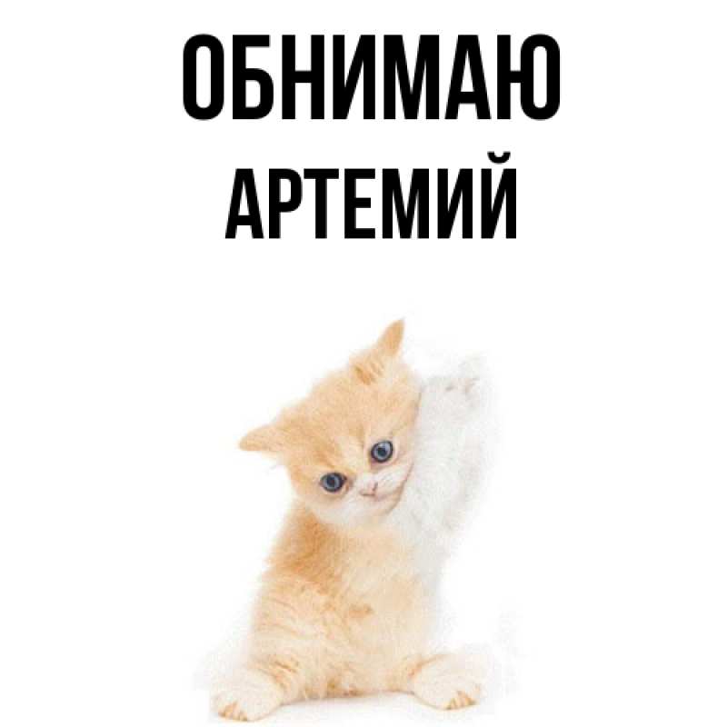 Картинка Обнимаю, Артемий