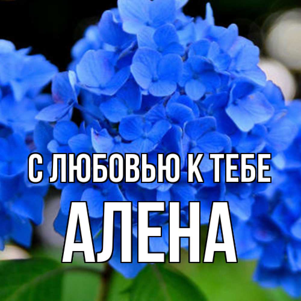 Открытка  с именем. Алена, С любовью к тебе  