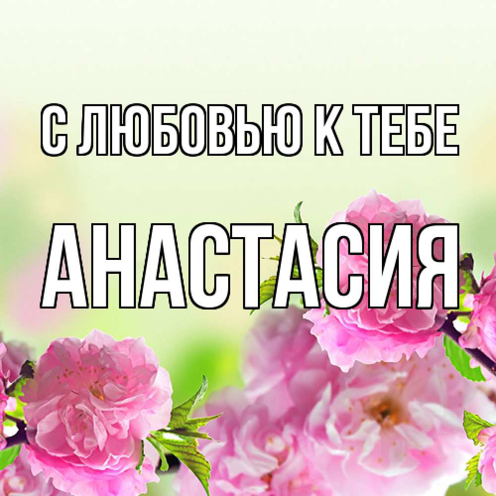 Открытка  с именем. Анастасия, С любовью к тебе  