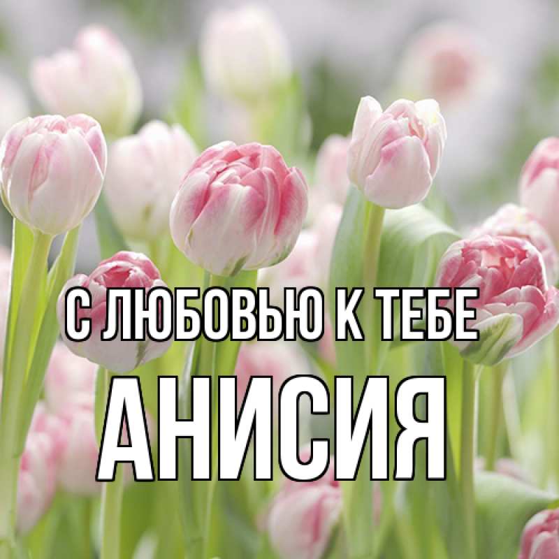 Картинка С любовью к тебе, Анисия