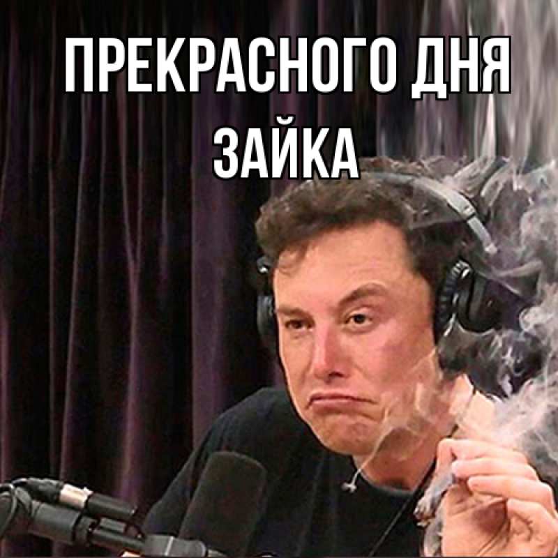 Картинка Прекрасного дня, Зайка