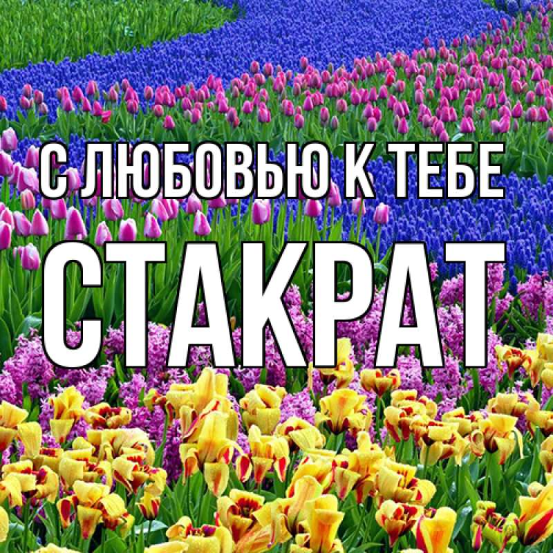 Картинка С любовью к тебе, Стакрат